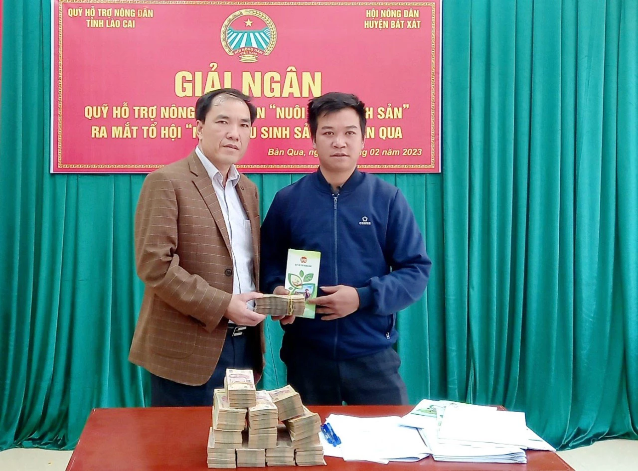 Giải ngân 1 tỷ đồng triển khai Dự án “Nuôi trâu sinh sản” tại xã Bản Qua ảnh 1