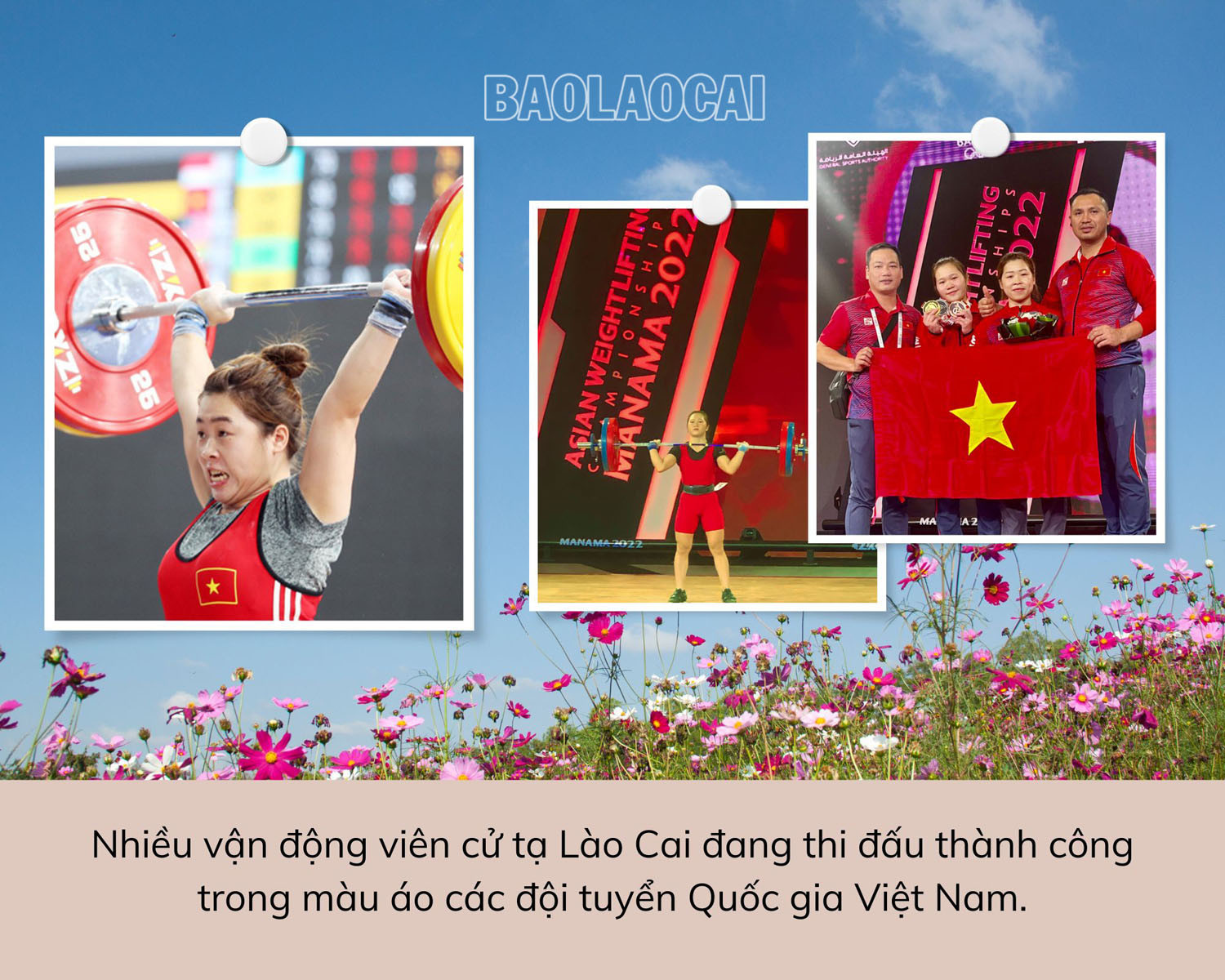 Cử tạ - “mỏ vàng” của thể thao thành tích cao Lào Cai ảnh 2 Cử tạ - “mỏ vàng” của thể thao thành tích cao Lào Cai ảnh 2