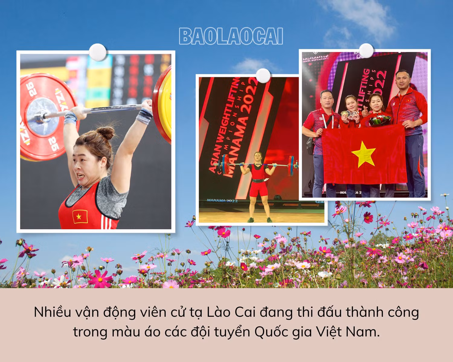 Cử tạ - “mỏ vàng” của thể thao thành tích cao Lào Cai ảnh 2 Cử tạ - “mỏ vàng” của thể thao thành tích cao Lào Cai ảnh 2