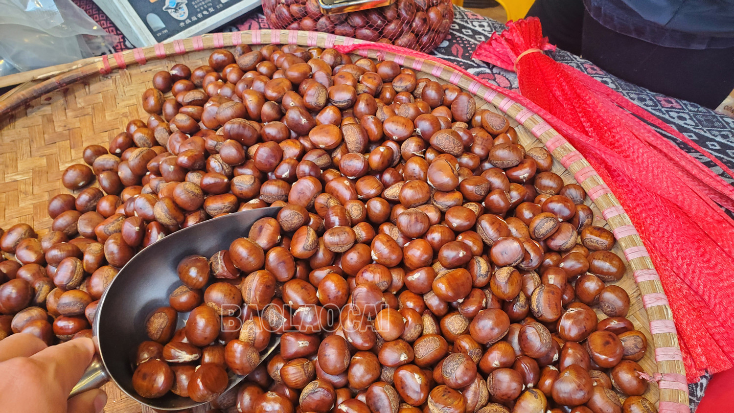 Nhức nhối nông sản gắn mác “Sa Pa” ảnh 4