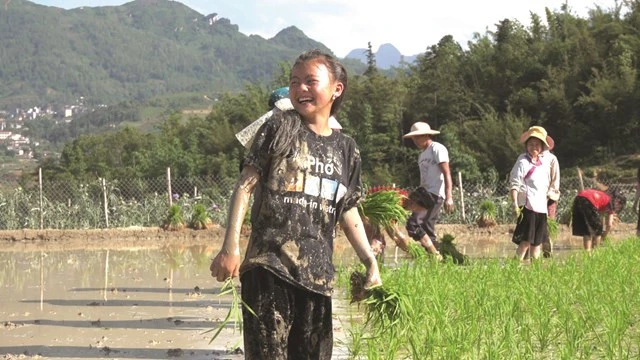 Phim "Những đứa trẻ trong sương": 10% doanh thu sẽ giúp đỡ học sinh tỉnh Lào Cai. ảnh 1