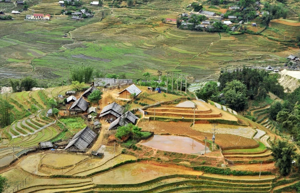 Đường nét Mường Hoa.