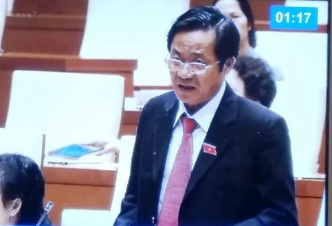 ĐB Huỳnh Ngọc Ánh (TP Hồ Chí Minh).