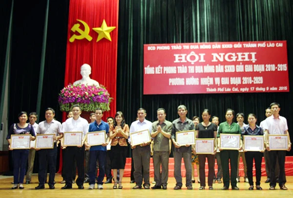 Trao Giấy khen của Chủ tịch UBND thành phố Lào Cai cho các hộ tiêu biểu.