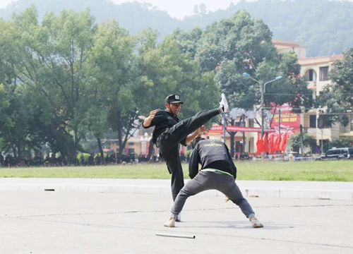 Diễu hành biểu dương lực lượng. Biểu diễn võ thuật. Những tuyệt kỹ thể hiện sức mạnh của lực lượng CSCĐ. Lao qua vòng lửa. Diễn tập phòng, chống khủng bố. Diễu hành biểu dương lực lượng. Biểu diễn võ thuật. Những tuyệt kỹ thể hiện sức mạnh của lực lượng CSCĐ. Lao qua vòng lửa. Diễn tập phòng, chống khủng bố.