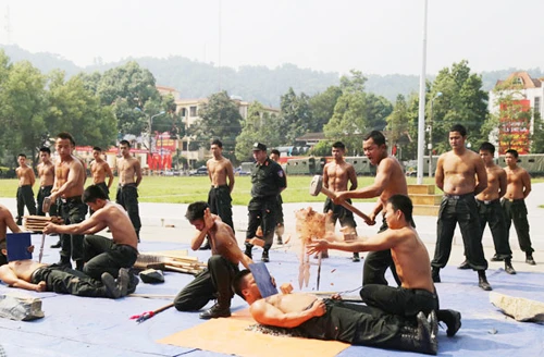 Diễu hành biểu dương lực lượng. Biểu diễn võ thuật. Những tuyệt kỹ thể hiện sức mạnh của lực lượng CSCĐ. Lao qua vòng lửa. Diễn tập phòng, chống khủng bố. Diễu hành biểu dương lực lượng. Biểu diễn võ thuật. Những tuyệt kỹ thể hiện sức mạnh của lực lượng CSCĐ. Lao qua vòng lửa. Diễn tập phòng, chống khủng bố.