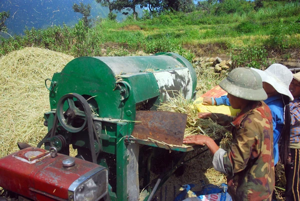 Cánh đồng lúa chín vàng ở Dền Sáng. Người dân Dền Sáng tranh thủ thời tiết thuận lợi thu hoạch lúa. Một vụ mùa bội thu với nông dân nơi đây. Những bao thóc căng đầy được vận chuyển về nhà. Phơi thóc. Chở rơm về làm thức ăn cho gia súc.