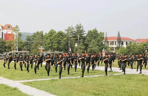 Diễu hành biểu dương lực lượng. Biểu diễn võ thuật. Những tuyệt kỹ thể hiện sức mạnh của lực lượng CSCĐ. Lao qua vòng lửa. Diễn tập phòng, chống khủng bố. Diễu hành biểu dương lực lượng. Biểu diễn võ thuật. Những tuyệt kỹ thể hiện sức mạnh của lực lượng CSCĐ. Lao qua vòng lửa. Diễn tập phòng, chống khủng bố.