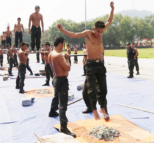 Diễu hành biểu dương lực lượng. Biểu diễn võ thuật. Những tuyệt kỹ thể hiện sức mạnh của lực lượng CSCĐ. Lao qua vòng lửa. Diễn tập phòng, chống khủng bố. Diễu hành biểu dương lực lượng. Biểu diễn võ thuật. Những tuyệt kỹ thể hiện sức mạnh của lực lượng CSCĐ. Lao qua vòng lửa. Diễn tập phòng, chống khủng bố.