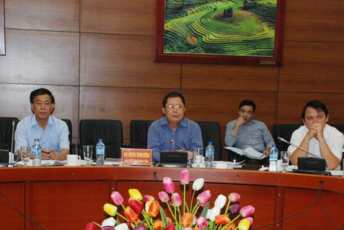 Đồng chí Nguyễn Thanh Dương, Phó Chủ tịch UBND tỉnh phát biểu tại buổi làm việc.