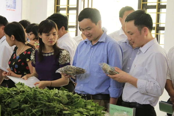 Các sản phẩm từ mô hình trường học - nông trại.