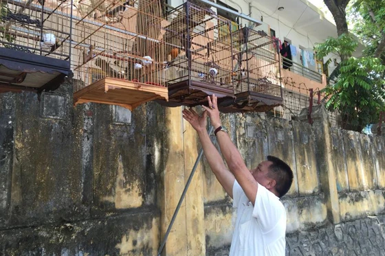 Với nhiều người, nuôi chim cảnh là để dưỡng tâm.
