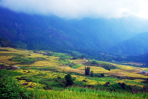 Cánh đồng lúa chín vàng ở Dền Sáng. Người dân Dền Sáng tranh thủ thời tiết thuận lợi thu hoạch lúa. Một vụ mùa bội thu với nông dân nơi đây. Những bao thóc căng đầy được vận chuyển về nhà. Phơi thóc. Chở rơm về làm thức ăn cho gia súc.