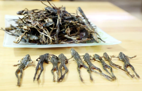 Trải nghiệm thú vị qua cuộc săn “chân dài” ảnh 1