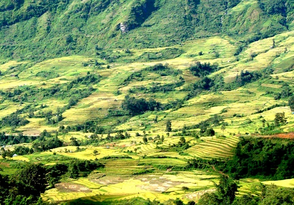 Khu vực phát hiện nghi can Lý Xe Mờ.