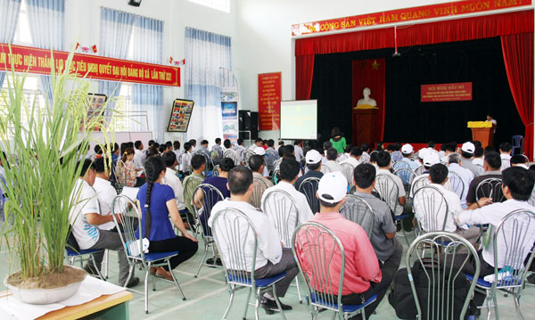 Quang cảnh hội nghị. Quang cảnh hội nghị.