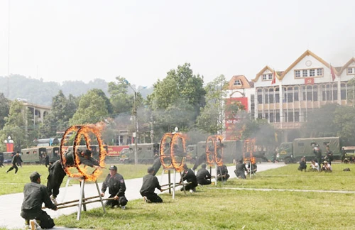 Diễu hành biểu dương lực lượng. Biểu diễn võ thuật. Những tuyệt kỹ thể hiện sức mạnh của lực lượng CSCĐ. Lao qua vòng lửa. Diễn tập phòng, chống khủng bố. Diễu hành biểu dương lực lượng. Biểu diễn võ thuật. Những tuyệt kỹ thể hiện sức mạnh của lực lượng CSCĐ. Lao qua vòng lửa. Diễn tập phòng, chống khủng bố.