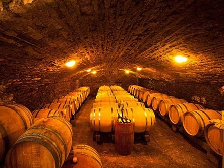 Champagne có nhiều vùng sản xuất rượu.