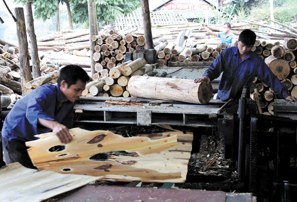 Sản xuất đồ mộc gia dụng tại một xã vùng cao (Văn Bàn). Sản xuất đồ mộc gia dụng tại một xã vùng cao (Văn Bàn).