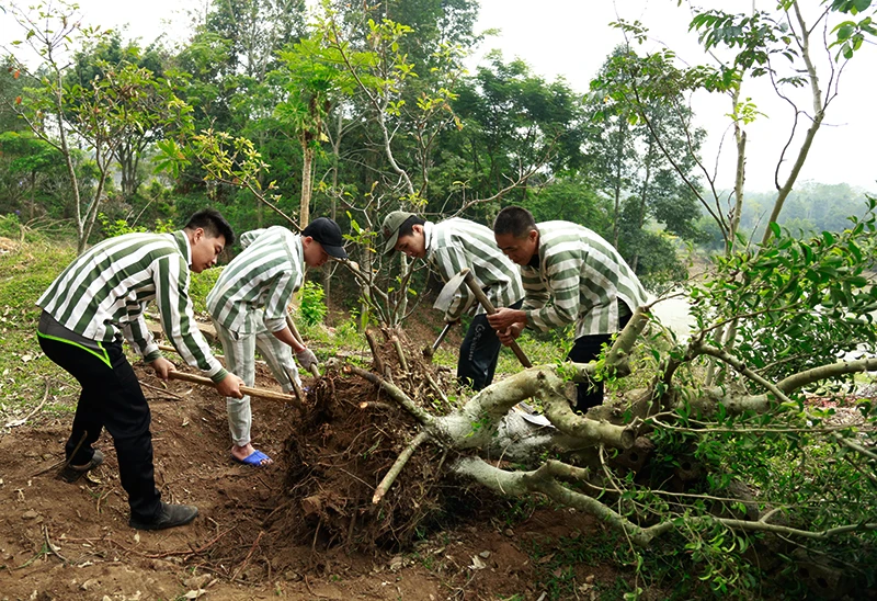 Cận cảnh cuộc sống của các phạm nhân trong Trại tạm giam tỉnh Lào Cai ảnh 2