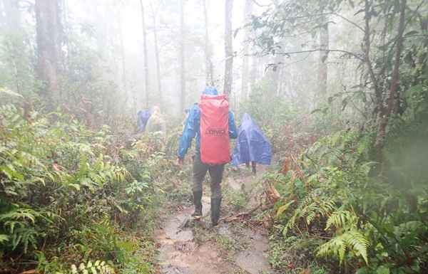 Đoàn khảo sát trên núi Pu Ta Leng ở độ cao 2.800 m.