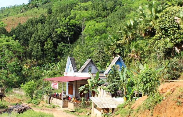 Người dân Điện Quan có thu nhập khá từ trồng rừng.