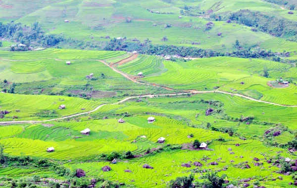 Ngất ngây vẻ đẹp ruộng bậc thang Dần Thàng ảnh 6