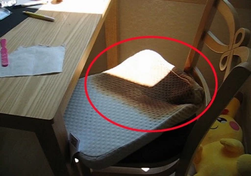 Trứng tự nở thành gà trong đợt nắng nóng kỷ lục ở Hàn Quốc làm 28 người chết ảnh 2