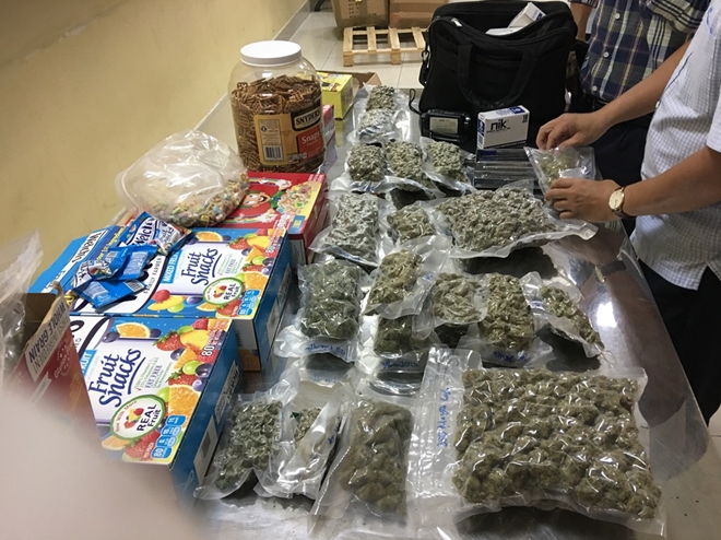 Hải quan Tân Sơn Nhất phá thành công nhiều vụ vận chuyển cần sa ảnh 1