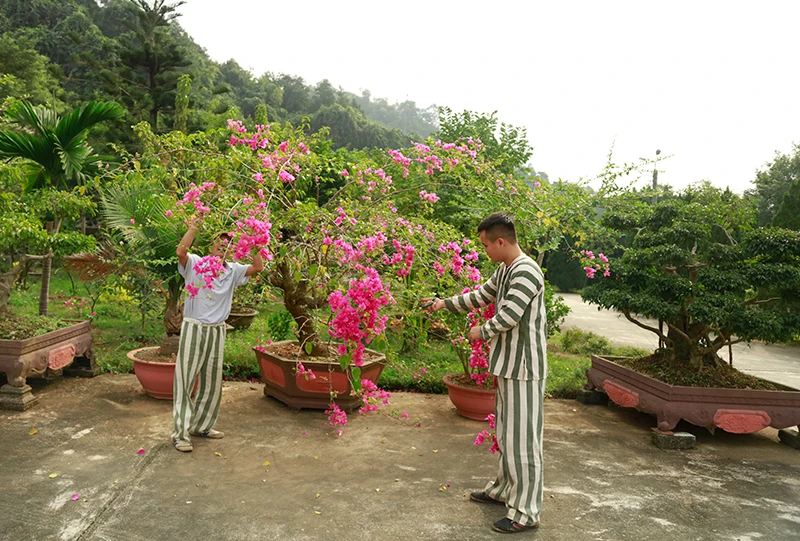 Cận cảnh cuộc sống của các phạm nhân trong Trại tạm giam tỉnh Lào Cai ảnh 4