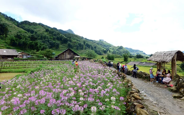 Một góc điểm du lịch bản Cát Cát. Một góc điểm du lịch bản Cát Cát.