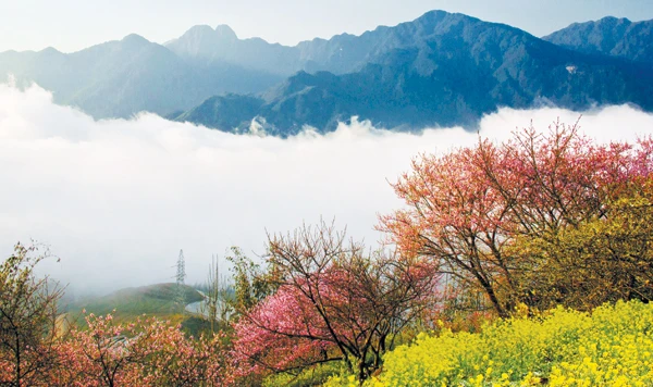 Sắc xuân Lào Cai. Sắc xuân Lào Cai.