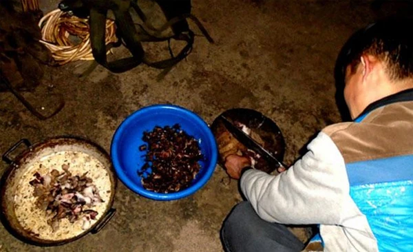 Chặt thịt chuột.