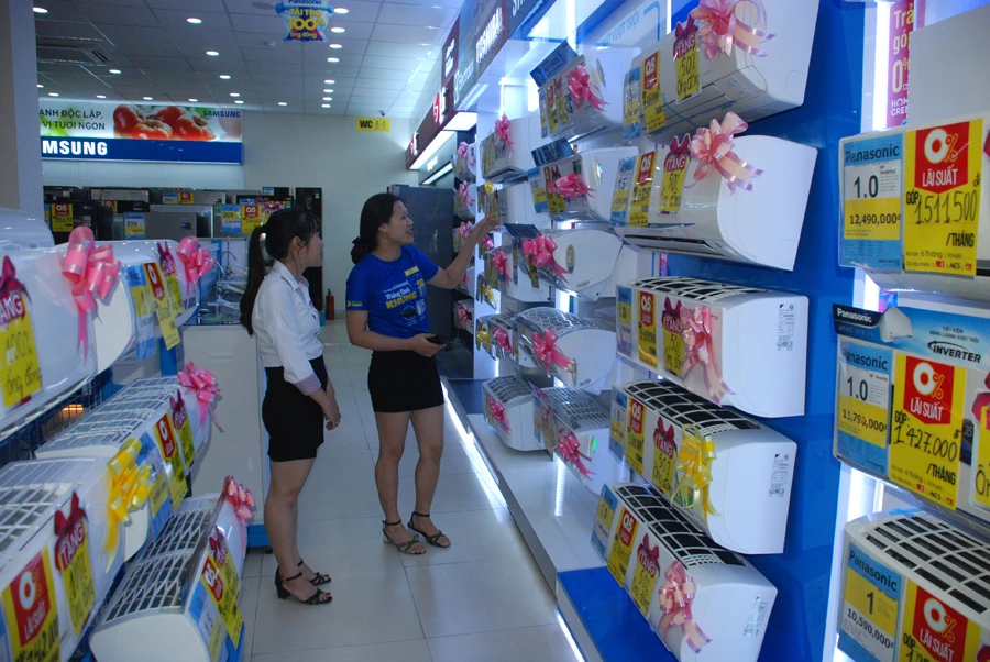Sôi động thị trường điện lạnh ảnh 1