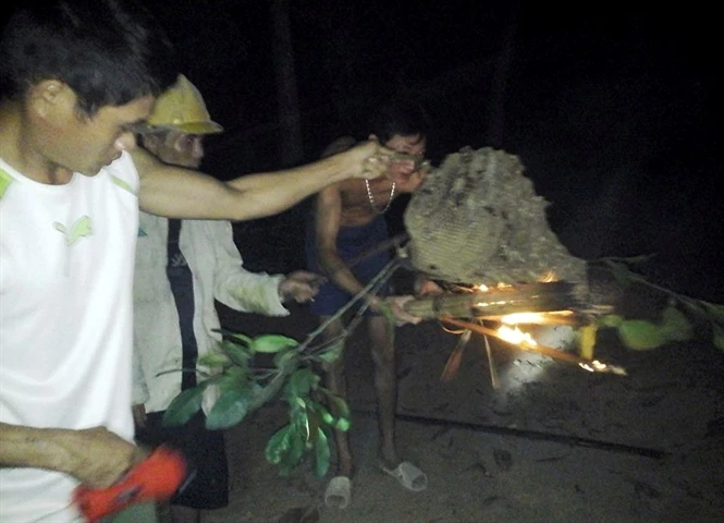 Đáng nể những người mưu sinh bằng nghề bắt ong tử thần ảnh 2