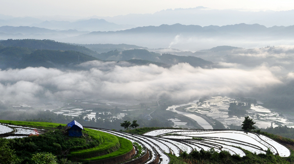 Lắng lòng mình lại khi đi giữa những ngày tháng Tư... Lắng lòng mình lại khi đi giữa những ngày tháng Tư...