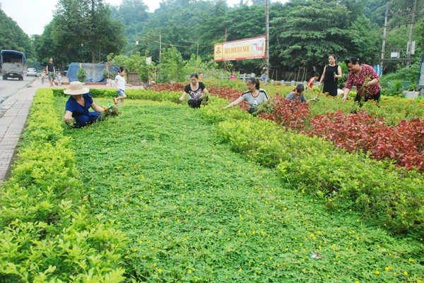 Hội viên phụ nữ Chi hội Lê Khôi vệ sinh tiểu công viên và vườn hoa.