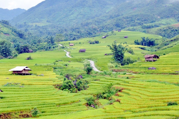 Ngất ngây vẻ đẹp ruộng bậc thang Dần Thàng ảnh 3