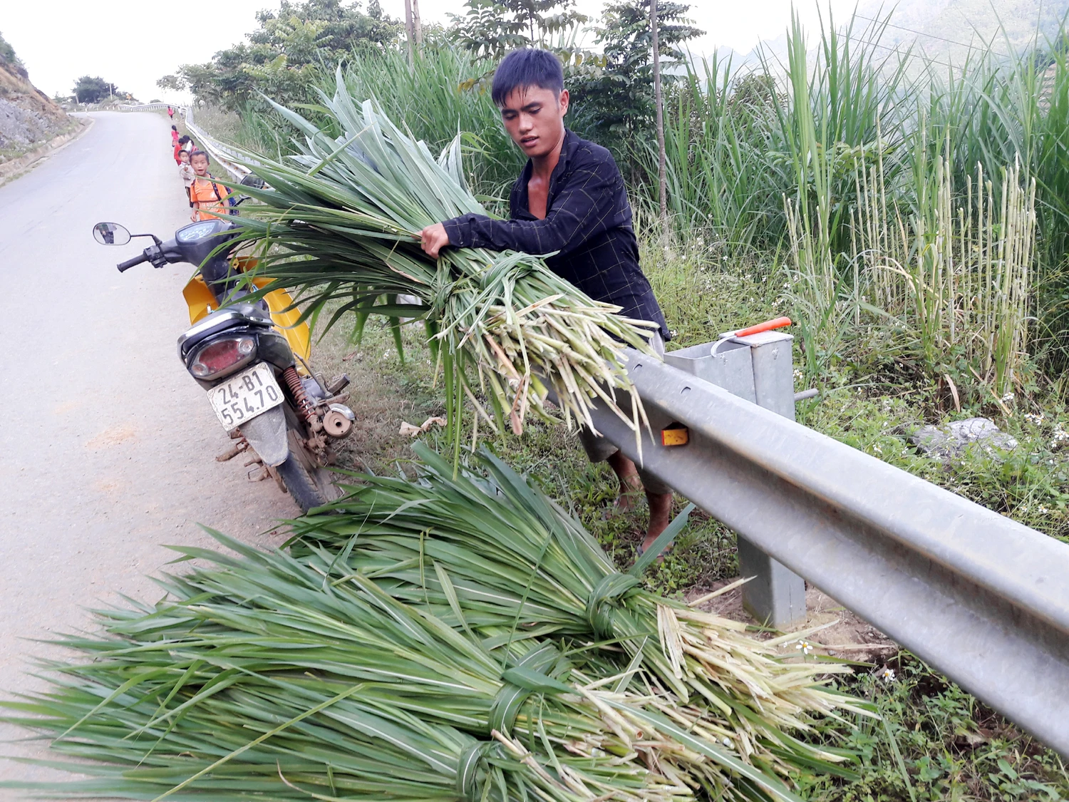 Nông dân vùng cao tích trữ rơm cho trâu, bò ảnh 10