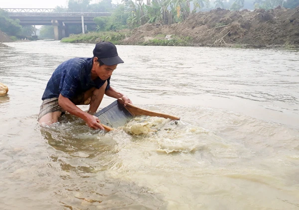 Đãi sạch đất, đá, cát để tìm vàng cám.
