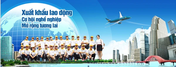 GIỚI THIỆU VỀ TRUNG TÂM DỊCH VỤ VIỆC LÀM TỈNH LÀO CAI ảnh 5