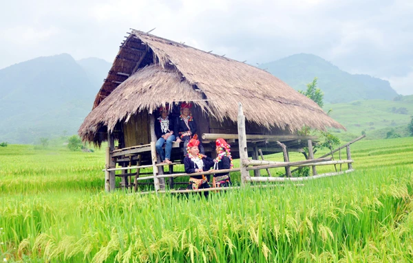 Ruộng bậc thang ở Dần Thàng dần ngả sang màu vàng. Bãi đá được tô điểm bởi màu vàng óng. Lúa chín tràn hai bên đường đi. Người dân đi thăm đồng chuẩn bị cho mùa thu hoạch. Màu vàng của lúa, màu xanh của rừng và màu thâm u của những ngôi nhà tạo nên bức tranh thanh bình miền sơn cước. Thung lũng Nậm Cần – Nậm Hò với những mảng màu ấn tượng.
