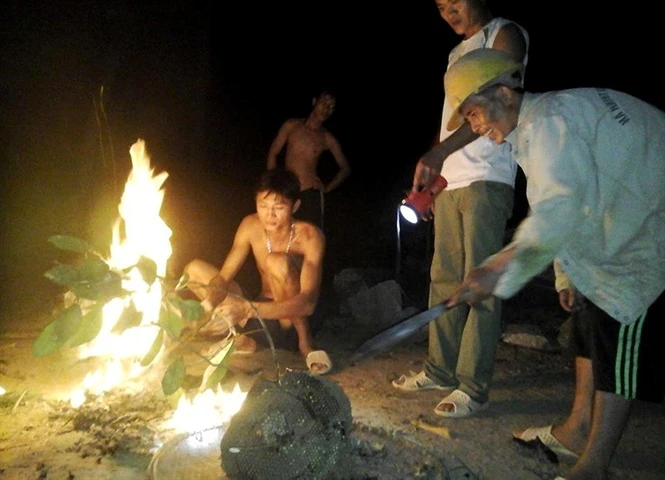 Anh Toàn chia sẻ kinh nghiệm bắt ong.