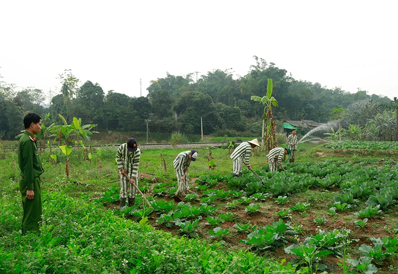 Cận cảnh cuộc sống của các phạm nhân trong Trại tạm giam tỉnh Lào Cai ảnh 3