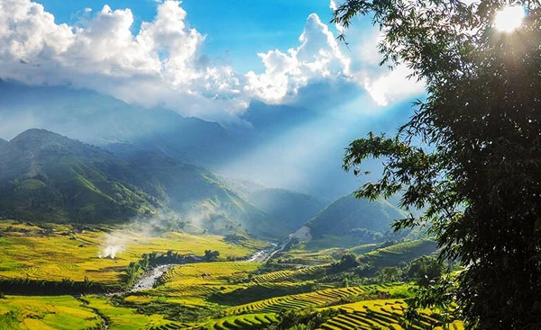 Ngắm ruộng bậc thang mùa lúa chín ở Lào Cai ảnh 8