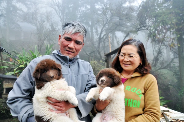 Vợ chồng ông Đoàn Văn Quang và những chú chó quý.