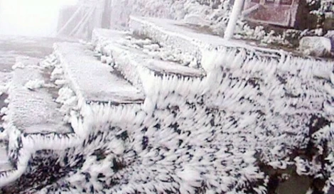 Tuyết rơi trắng xóa ở Lào Cai. Tuyết rơi trắng xóa ở Lào Cai.