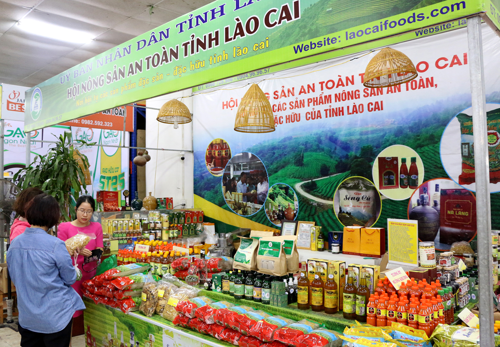 Thực nghiệm điều tra vụ án giết người ở Bắc Hà ảnh 1