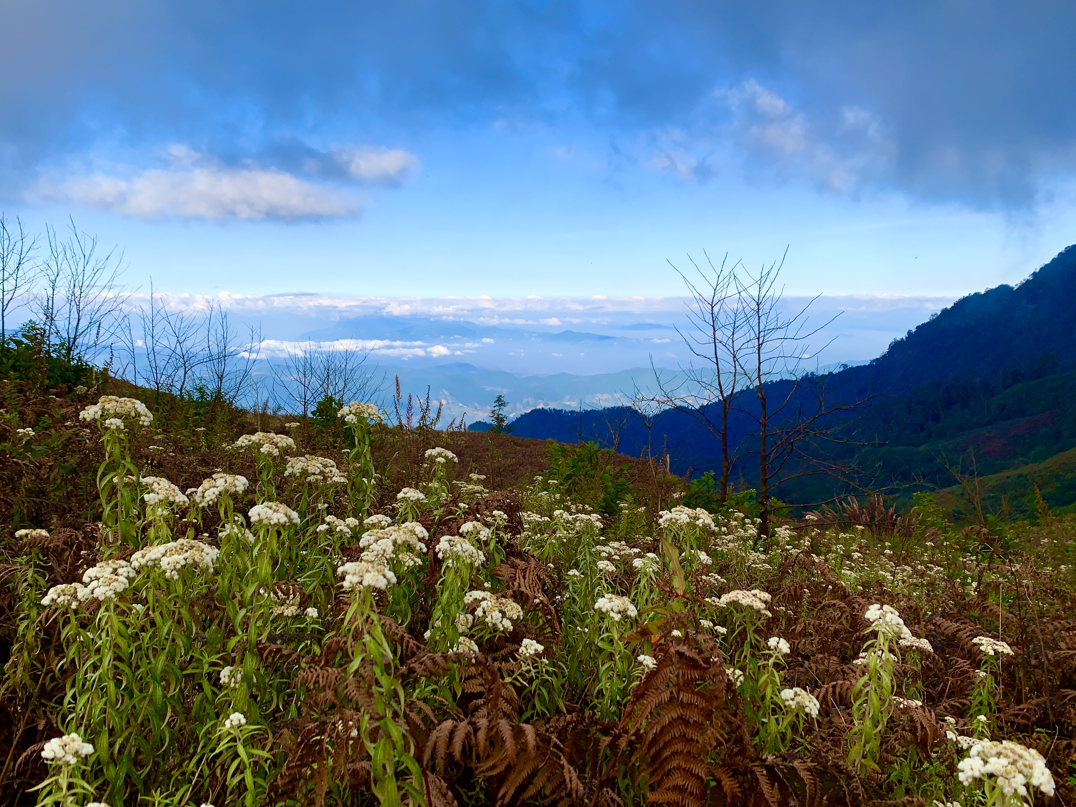 Ngọn cây khô này chỉ cách đỉnh 2.860 m khoảng 100m. Porter Tráng A Súng thường đem theo con cá gỗ để du khách có thể chụp bức ảnh “câu cá ở sông mây”. Đây là một cành cây khô khác có hình thù giống đầu voi, người dân Lảo Thẩn không chặt nó mà để lại tạo thành điểm check in không thể bỏ qua với du khách. Vách núi mà bất cứ ai leo Lảo Thẩn cũng muốn có một bức hình lưu lại khoảnh khắc ở đây. Nhìn thì có vẻ nguy hiểm nhưng đó là góc chụp đánh lừa thị giác, đường lên mỏm đá rất đơn giản. Điểm ngắm hoàng hôn đẹp nhất tại lán nghỉ của A Hòa ở độ cao 2.600m. Ý tưởng treo một chiếc xích đu tại đây đang hình thành. Mỏm đá đi tìm “nữ thần mặt trời”, điểm check in gần mặt trời nhất trên hành trình leo núi Lảo Thẩn. Lạc giữa rừng hoa “tiên cảnh”. Hoàng hôn trên núi Lảo Thẩn. Chụp ảnh trên đỉnh 2.860 m. Ngọn cây khô này chỉ cách đỉnh 2.860 m khoảng 100m. Porter Tráng A Súng thường đem theo con cá gỗ để du khách có thể chụp bức ảnh “câu cá ở sông mây”. Đây là một cành cây khô khác có hình thù giống đầu voi, người dân Lảo Thẩn không chặt nó mà để lại tạo thành điểm check in không thể bỏ qua với du khách. Vách núi mà bất cứ ai leo Lảo Thẩn cũng muốn có một bức hình lưu lại khoảnh khắc ở đây. Nhìn thì có vẻ nguy hiểm nhưng đó là góc chụp đánh lừa thị giác, đường lên mỏm đá rất đơn giản. Điểm ngắm hoàng hôn đẹp nhất tại lán nghỉ của A Hòa ở độ cao 2.600m. Ý tưởng treo một chiếc xích đu tại đây đang hình thành. Mỏm đá đi tìm “nữ thần mặt trời”, điểm check in gần mặt trời nhất trên hành trình leo núi Lảo Thẩn. Lạc giữa rừng hoa “tiên cảnh”. Hoàng hôn trên núi Lảo Thẩn. Chụp ảnh trên đỉnh 2.860 m.