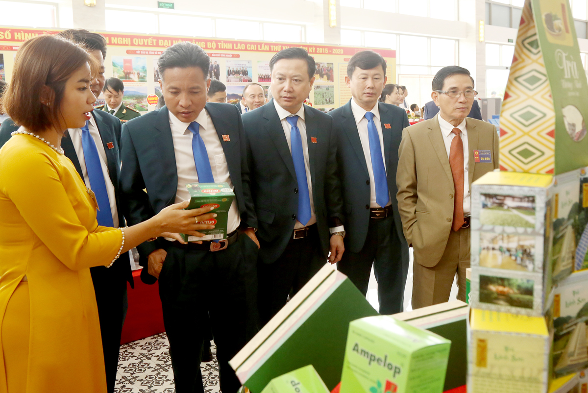 Tham quan triển lãm thành tựu phát triển kinh tế - xã hội tỉnh Lào Cai ảnh 9